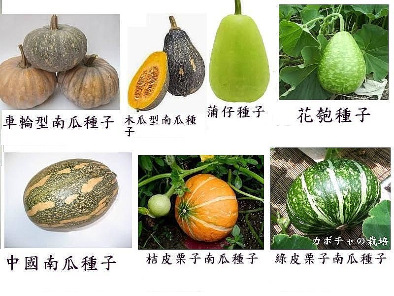農產種子郵購站 02 請利用電話號碼搜尋